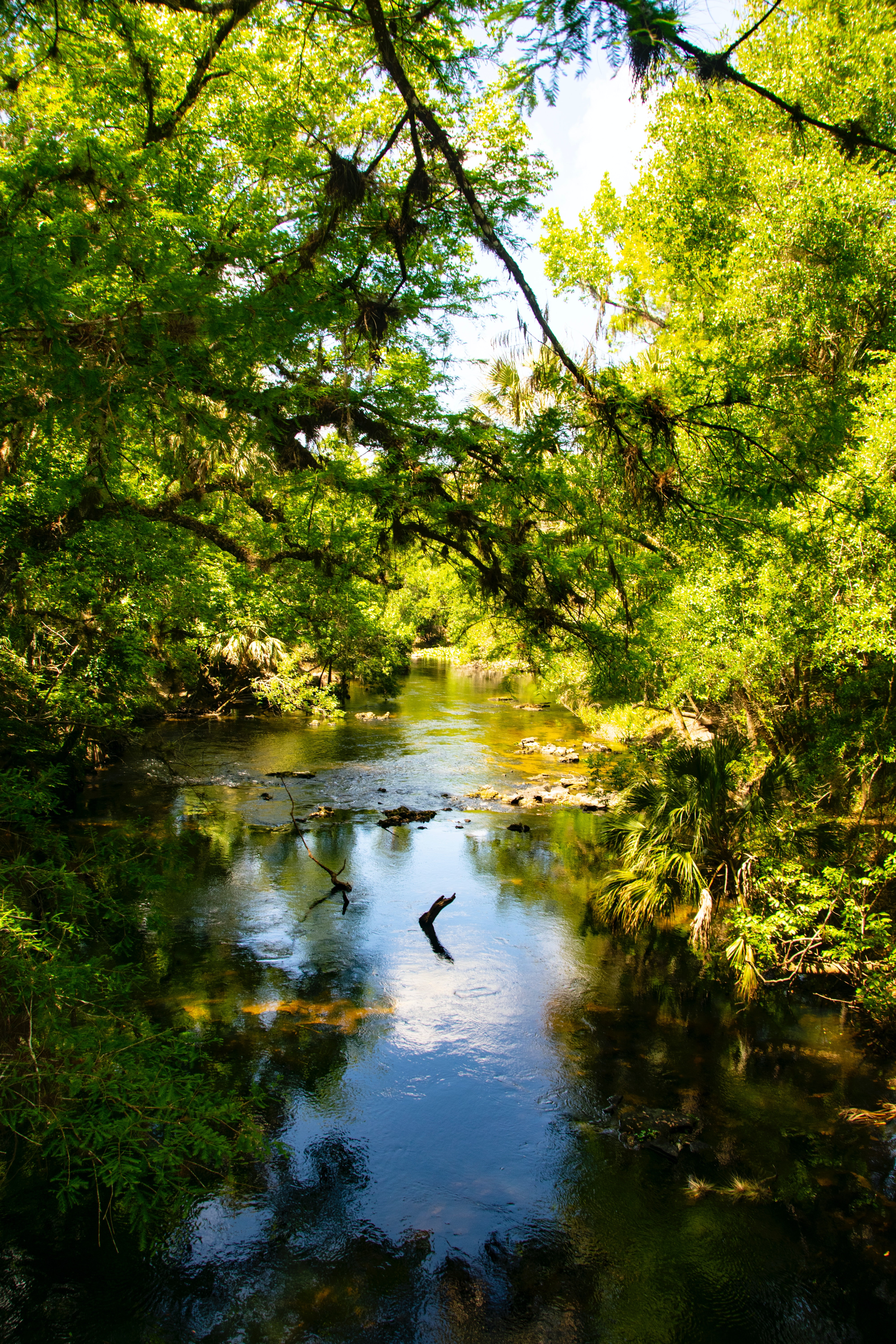 River Photo, Download The BEST Free River & HD Image