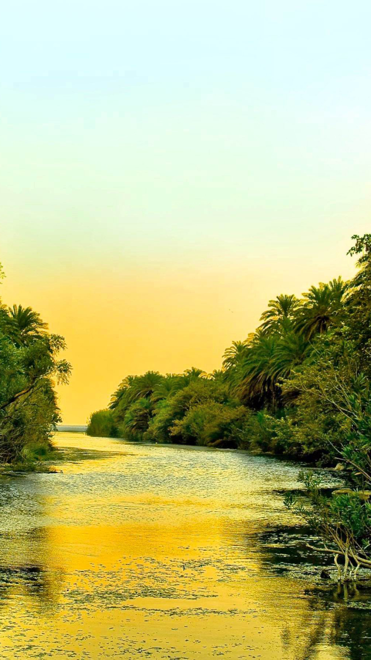 River Phone Wallpaper