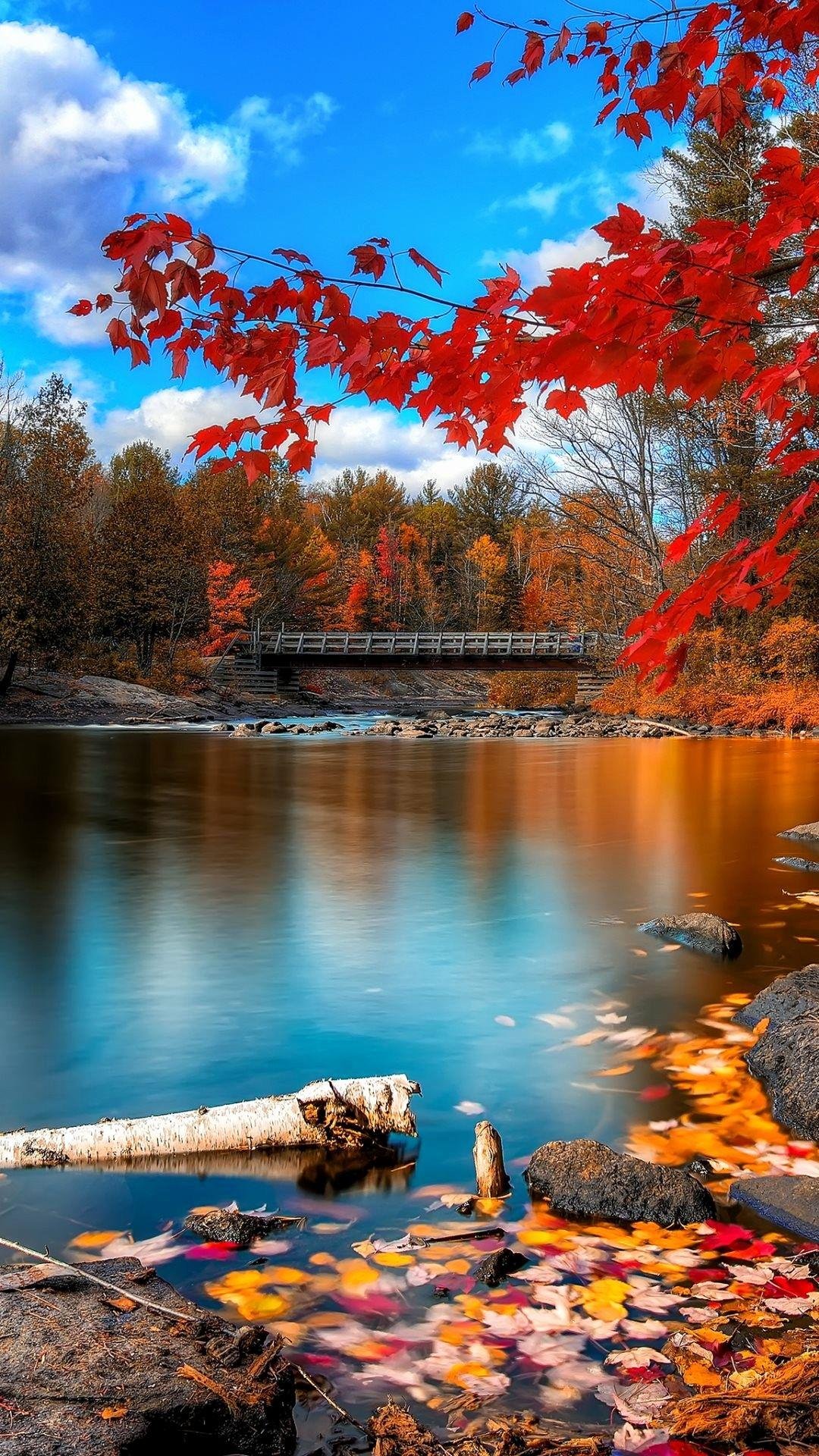Autumn on the River Wallpaper Download