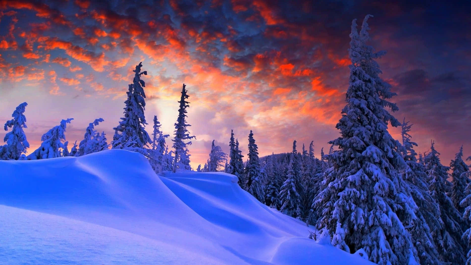 Download Breathtaking 1080p Winter Landscape // Description: Enjoy a stunning landscape view of a winter scene in the breathtaking resolution of 1080p. // Related Keywords: Winter, Nature, Landscape, Snow, Cold, 1080p