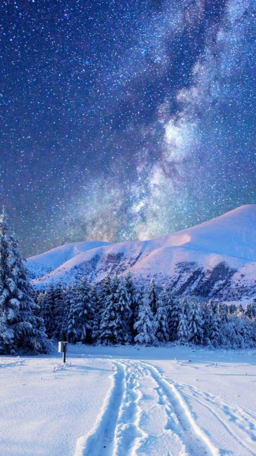 Download Winter Aesthetic Phone Forest Under Starry Sky Wallpaper