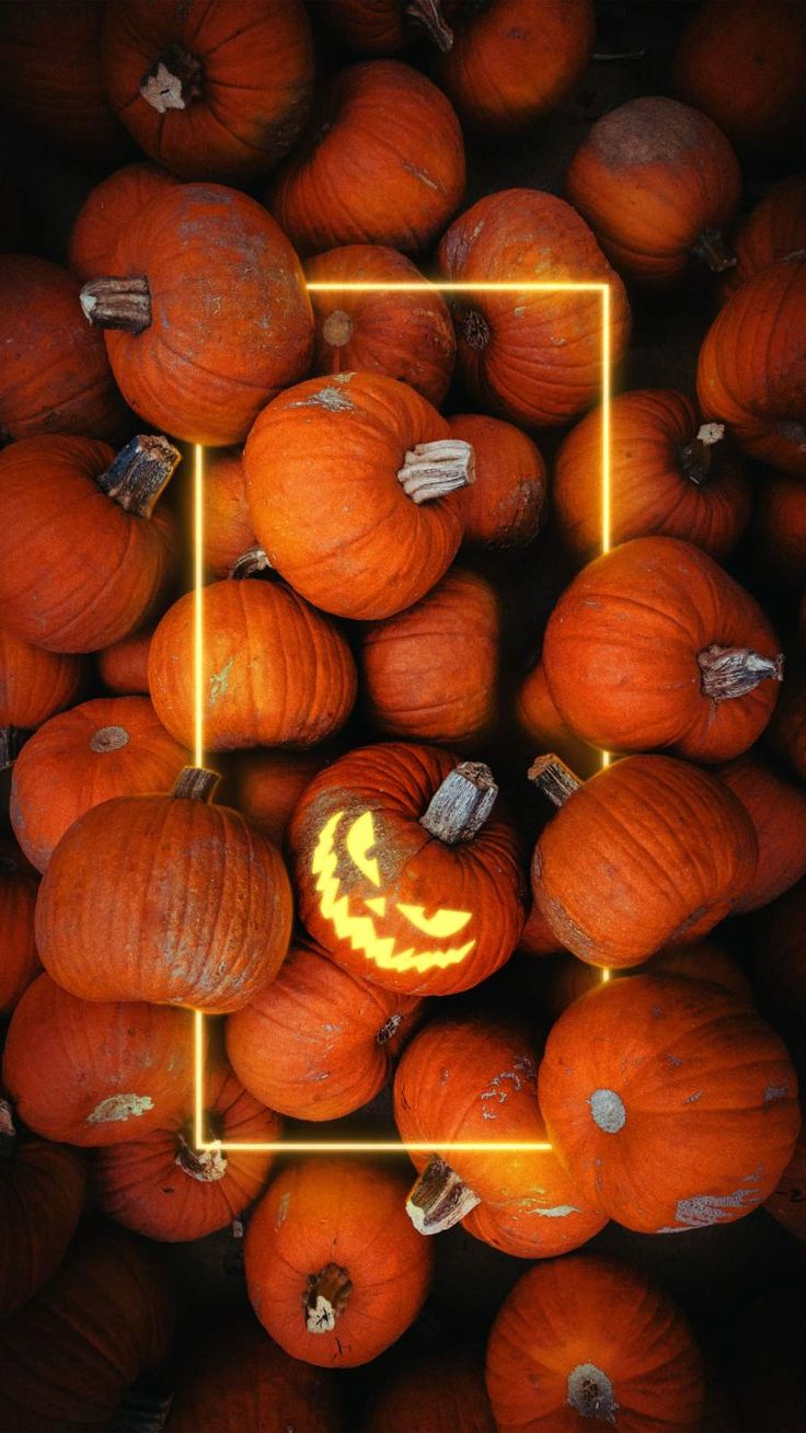 Halloween Pumpkins Wallpaper. Pumpkin wallpaper, Scary halloween pumpkins, Halloween wallpaper iphone