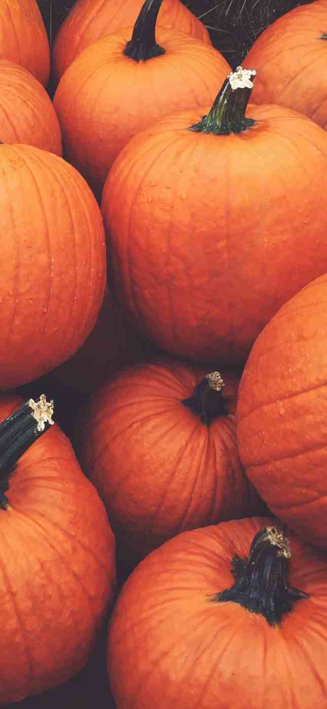 Free Halloween IPhone Wallpaper For Your Spooky Aesthetic