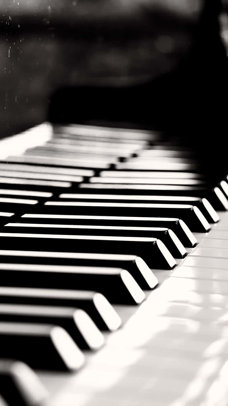 Download A Black Grand Piano Illuminated