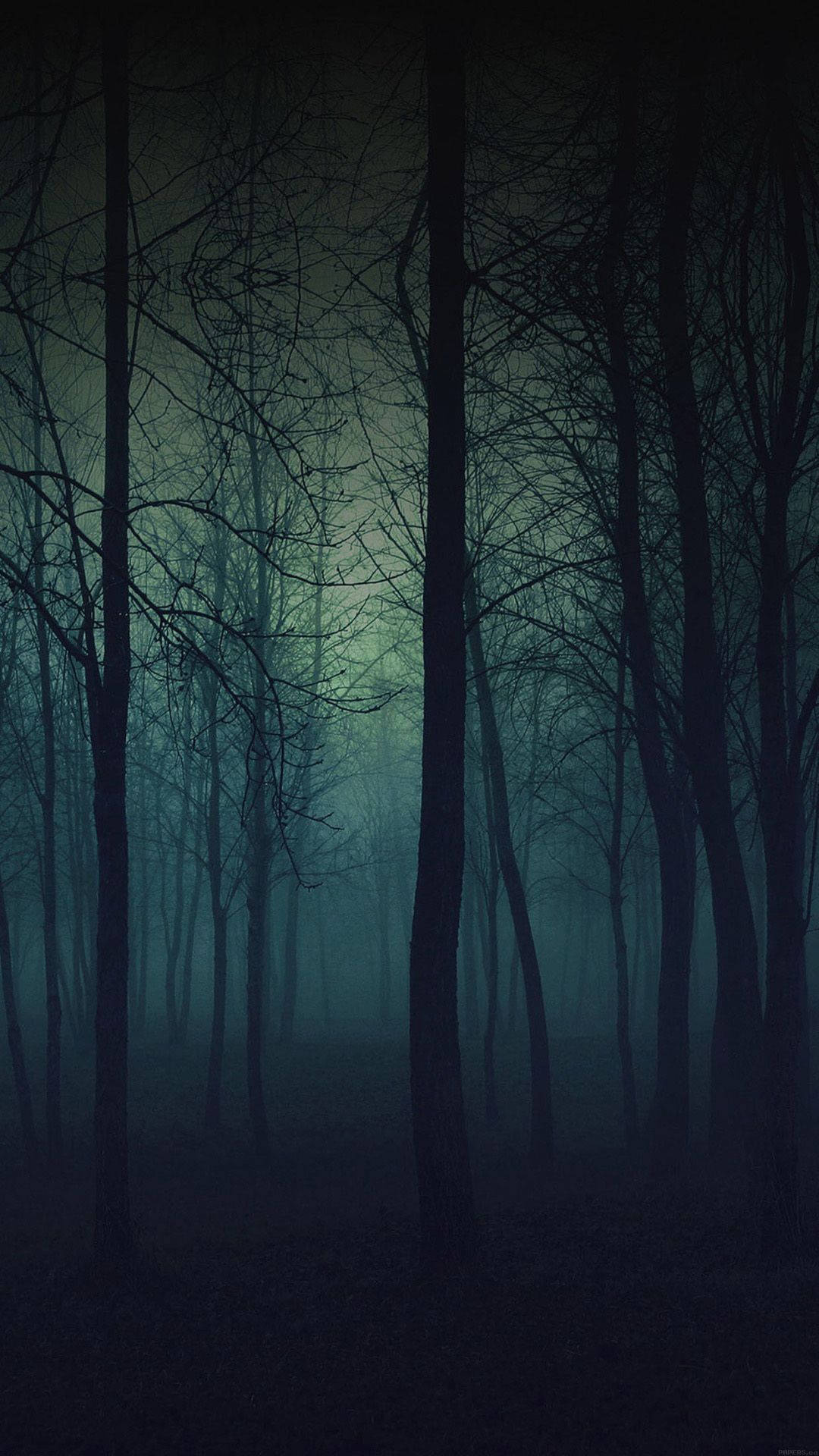 Download Dark Green Forest Phone Wallpaper