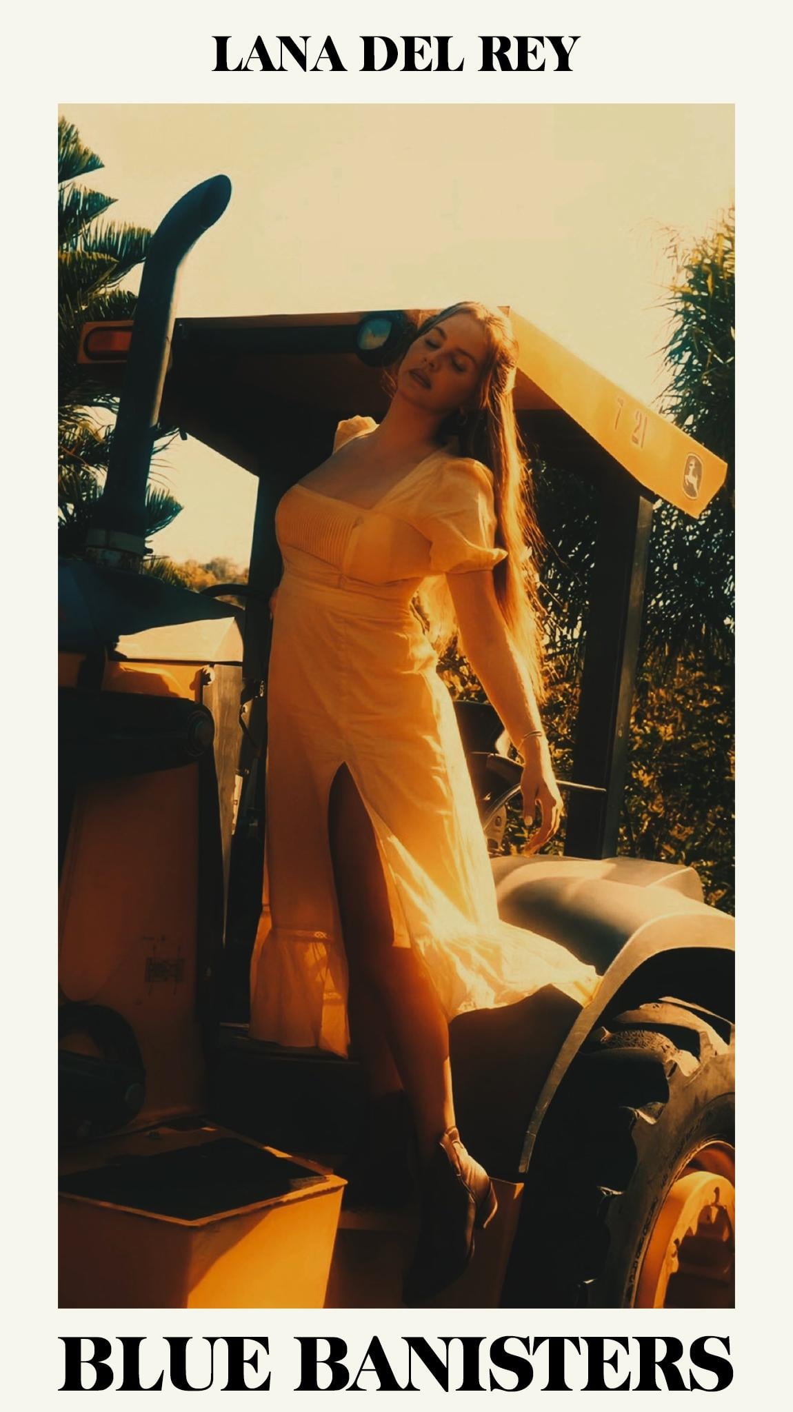 Phone wallpaper to anyone who wants it :)