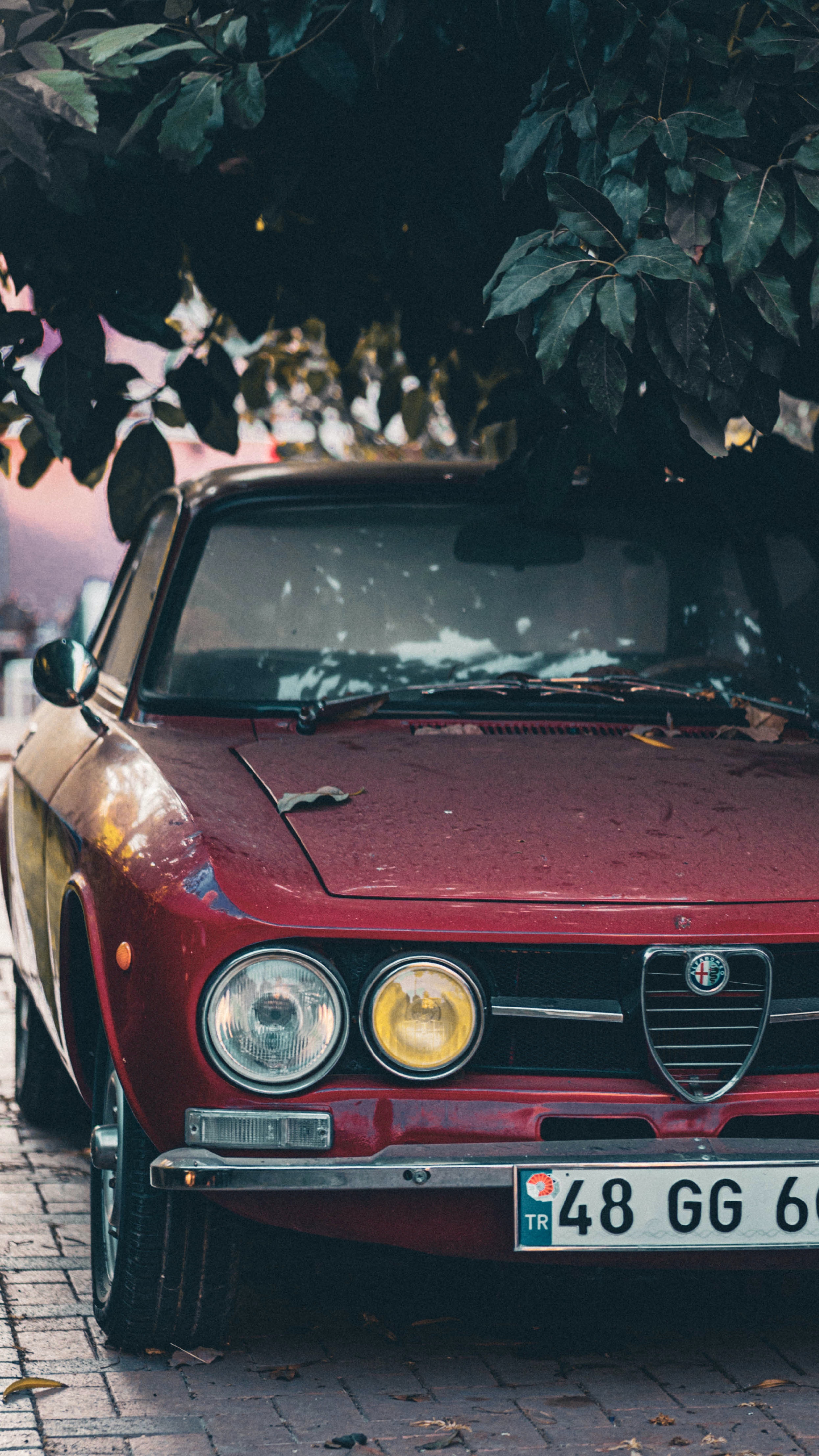 Alfa Romeo Photo, Download The BEST Free Alfa Romeo & HD Image