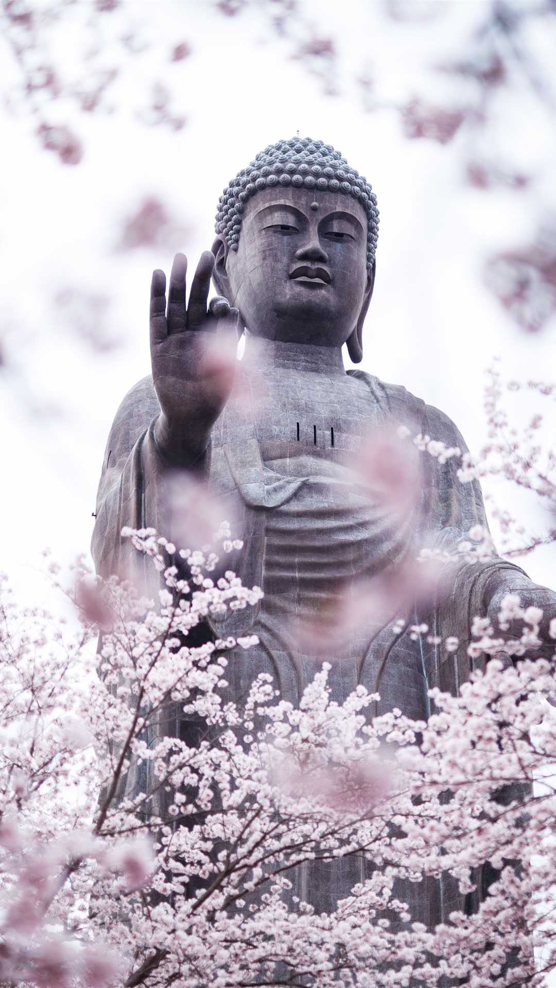 Buddha Wallpaper