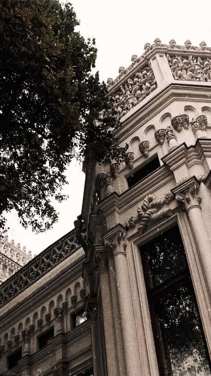 Download Dark Academia Background