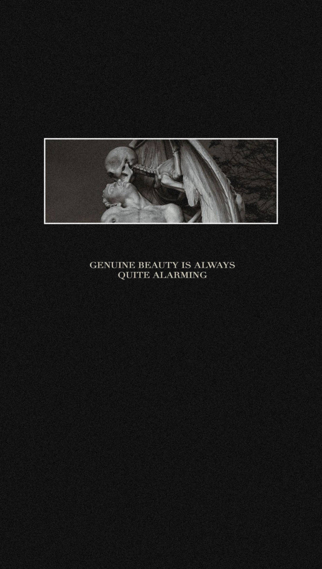 Download Dark Academia Minimalist Wallpaper