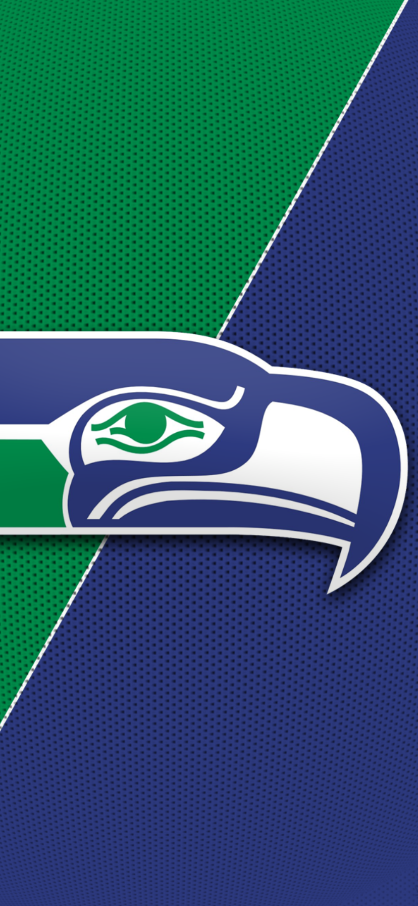 Seattle Seahawks Logo on Green and Blue
