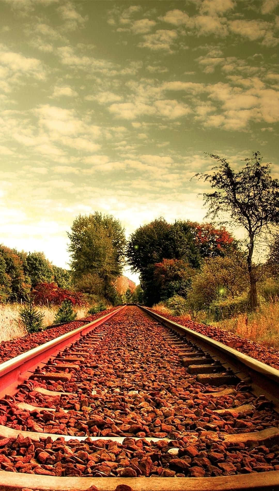 Download A Train Track With Trees Wallpaper