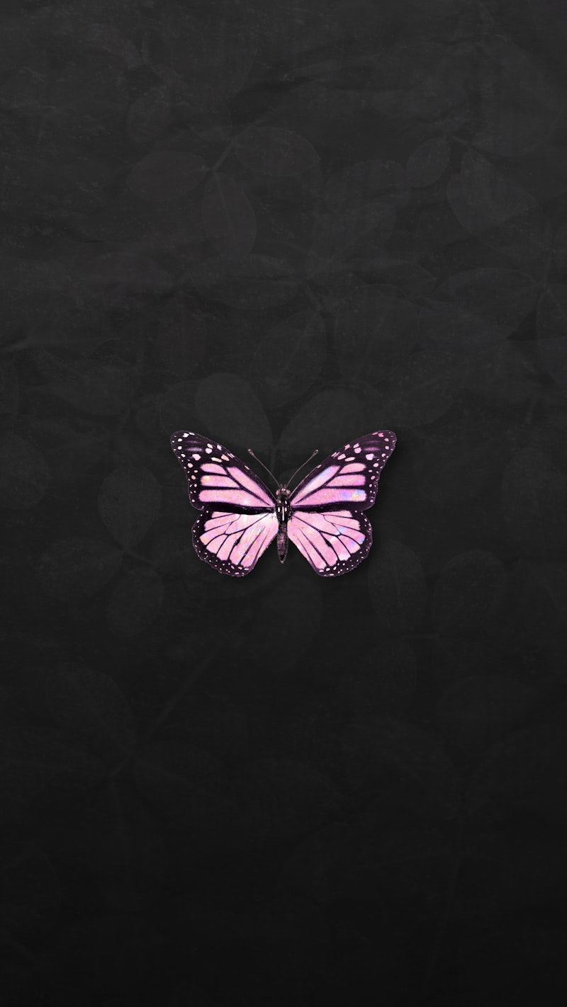 Free Vectors, PNGs, Mockups & Background