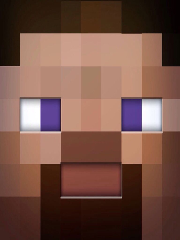 Minecraft Faces. Minecraft wallpaper, Minecraft face, Minecraft characters