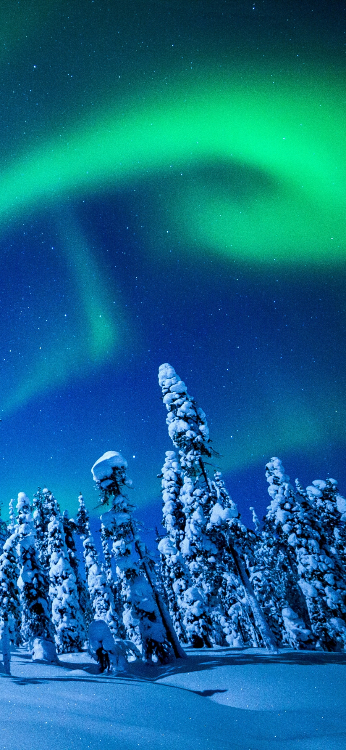 Aurora Borealis Phone Wallpaper