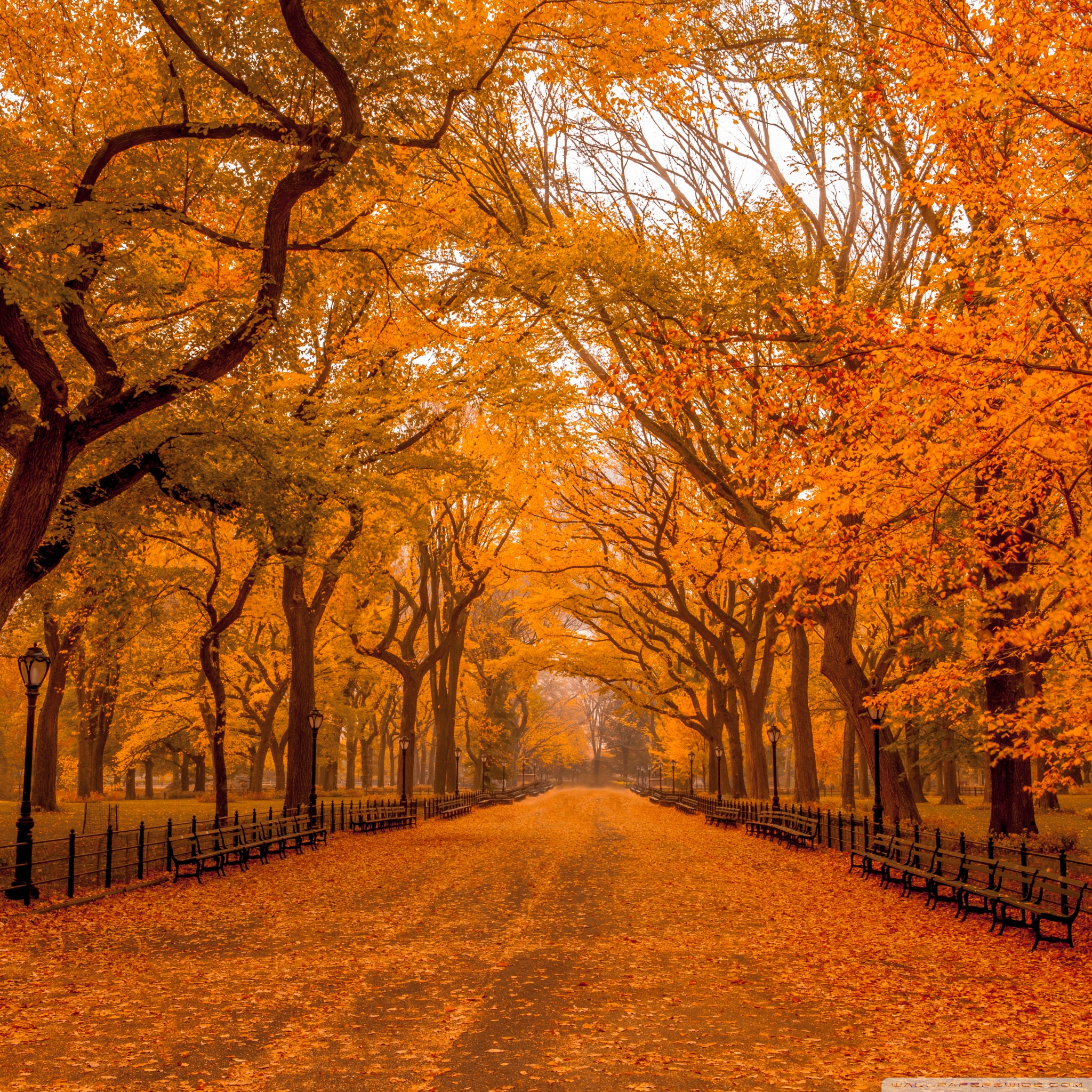Beautiful Autumn Landscapes