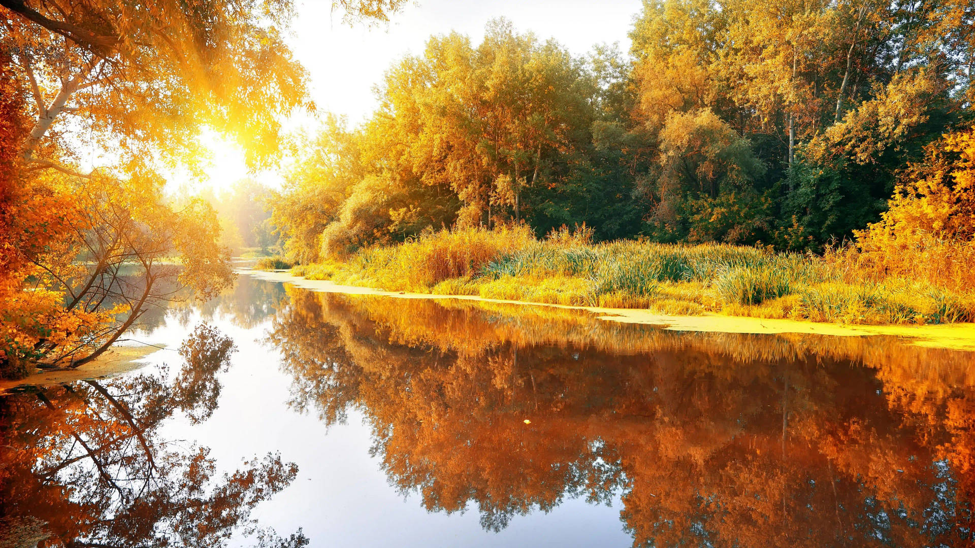 Download 8K Ultra HD Nature Autumn River Wallpaper