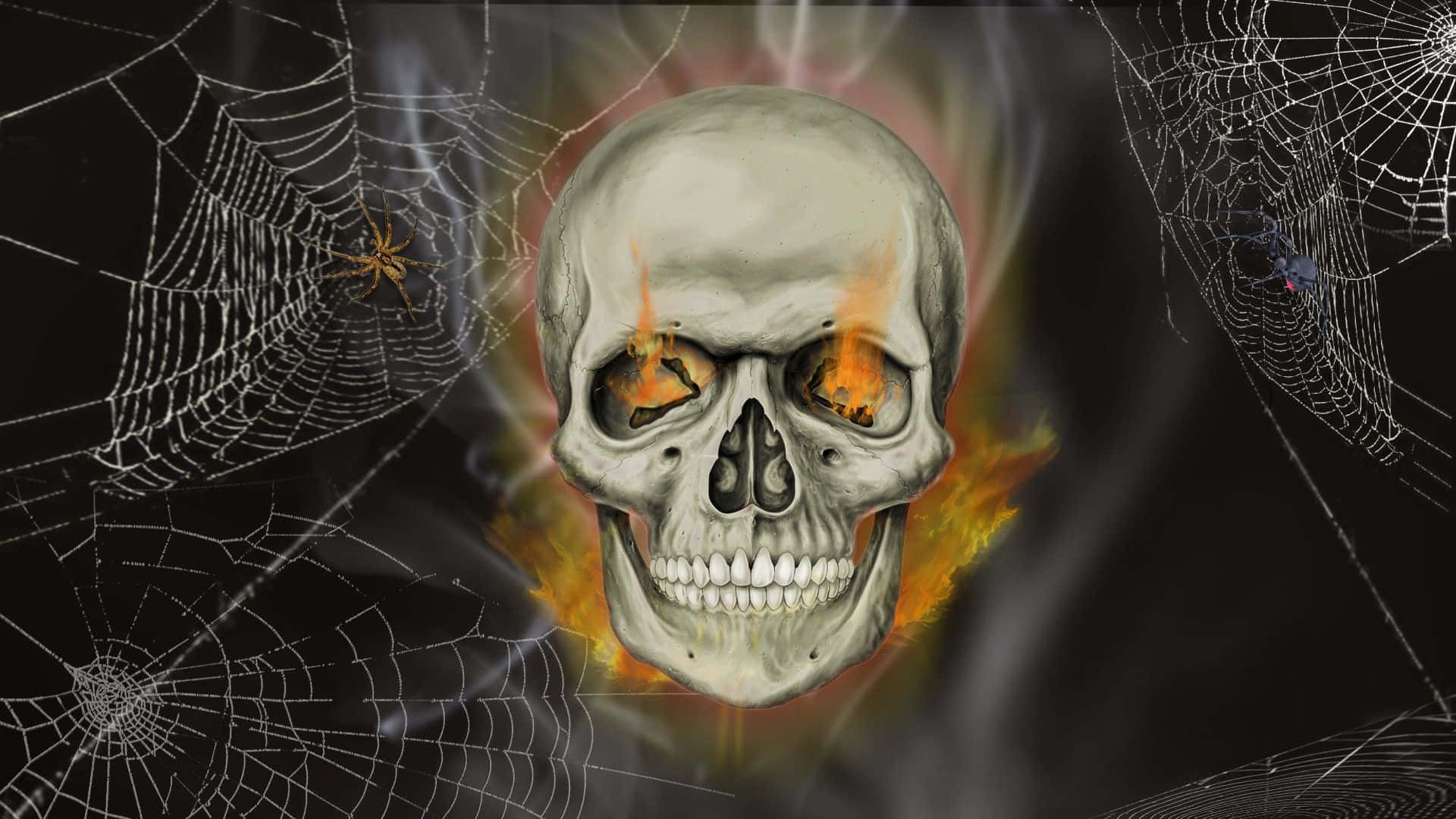 Download Spooky Halloween Skeleton Sitting on a Bench Wallpaper