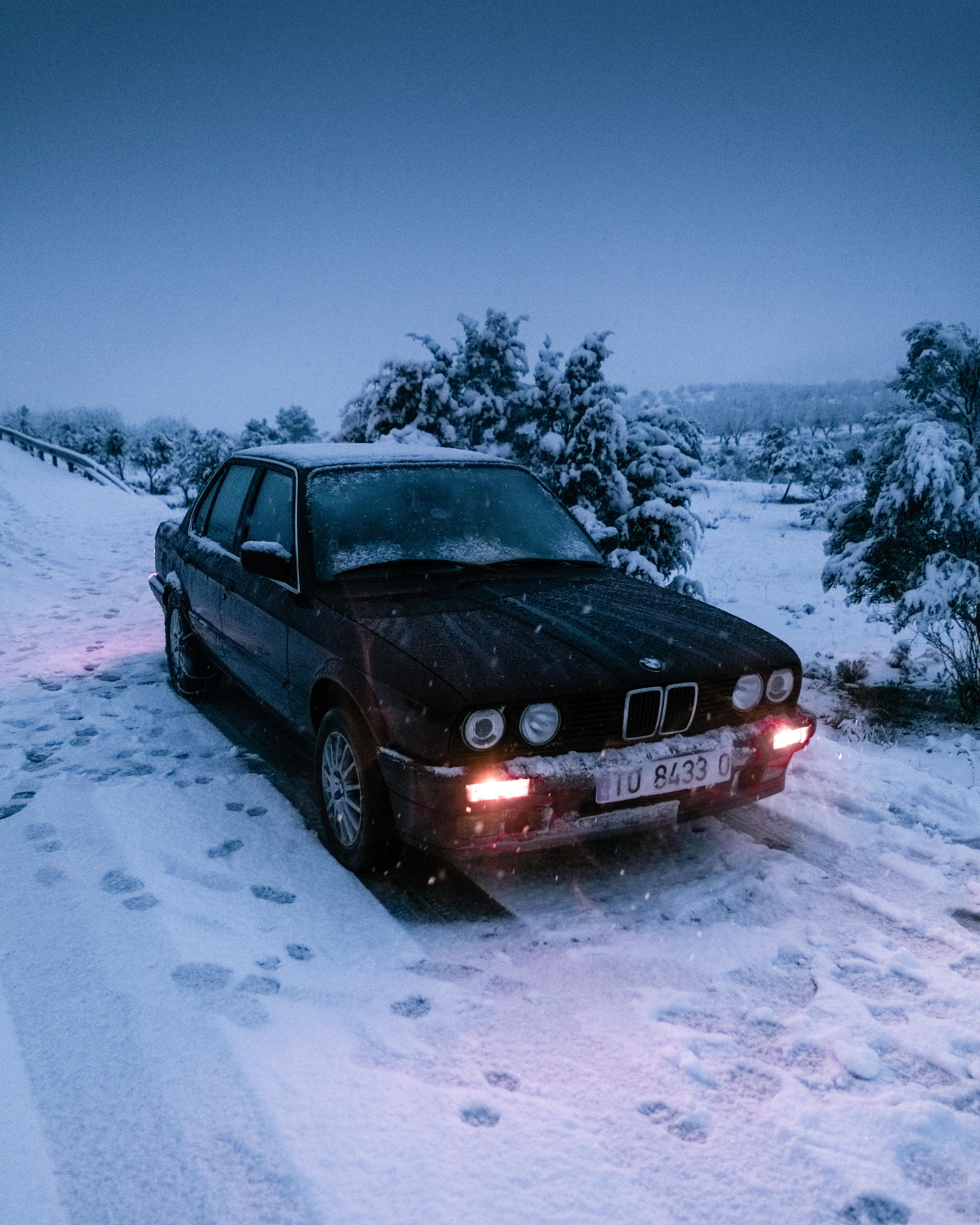 some people say thirties dont do well in snow, mine do be vibin tho
