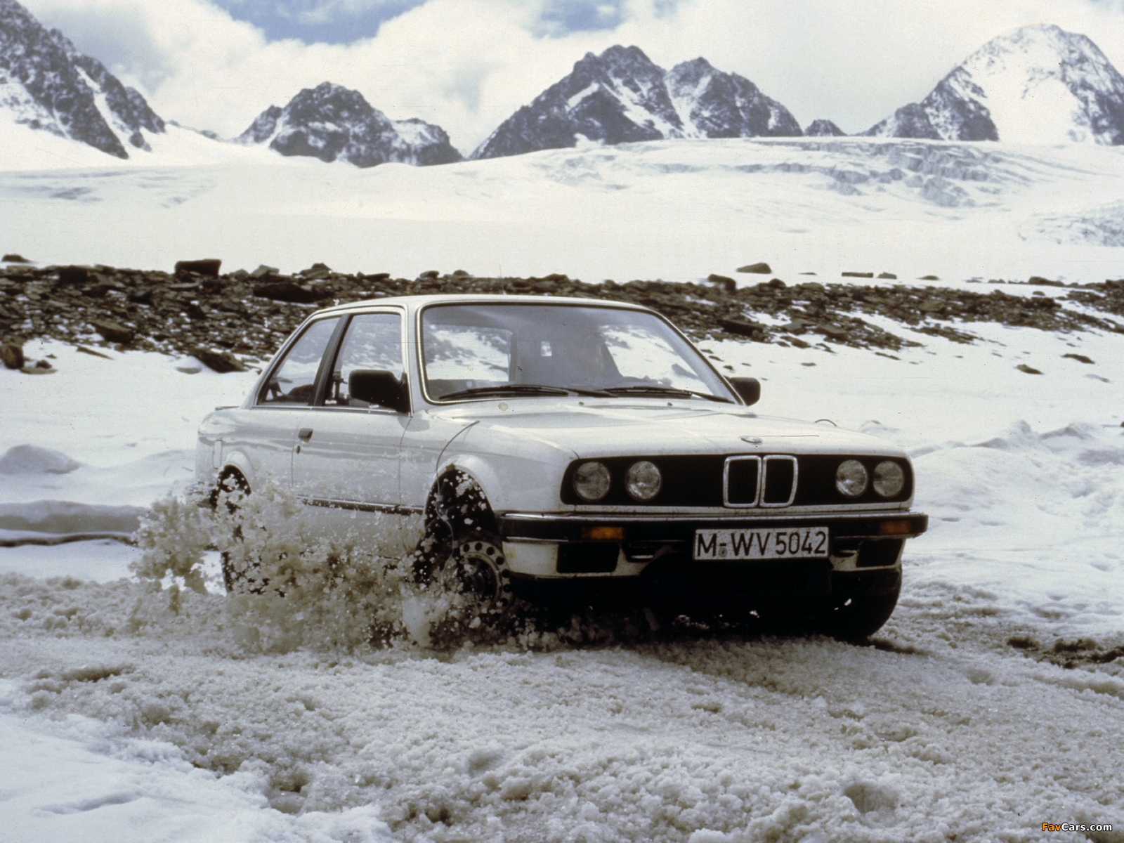 Winter. The Common Gearhead
