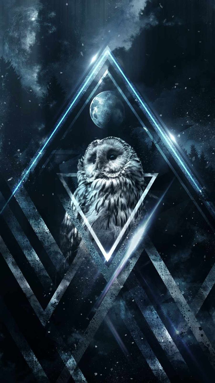 Night Owl Wallpaper, iPhone Wallpaper. Owl wallpaper, Owl artwork, Owl wallpaper iphone