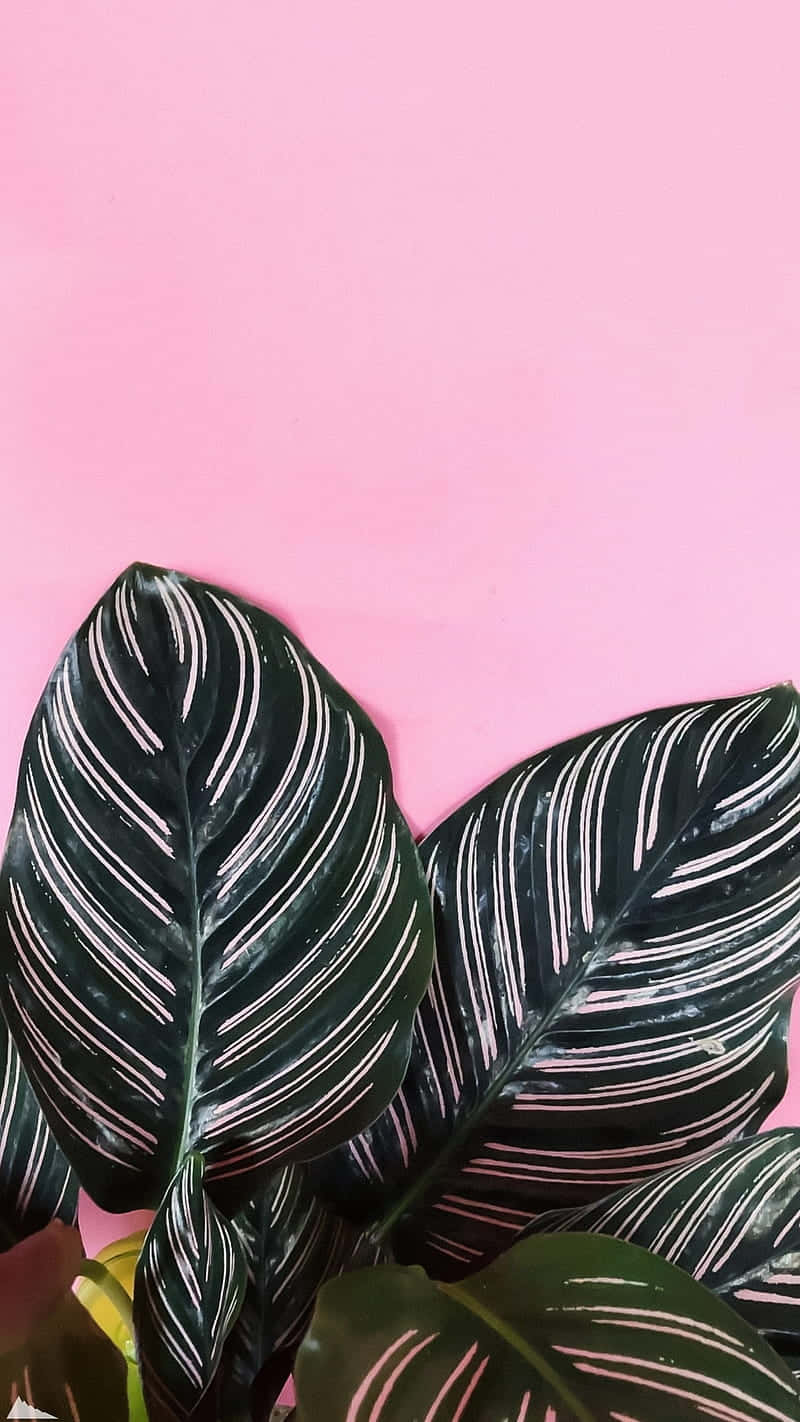 Download Green Communication Growing Through Phone Wallpaper