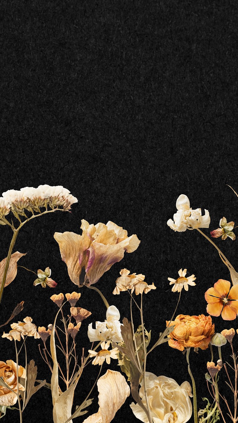 Black Wallpaper Phone Wallpaper