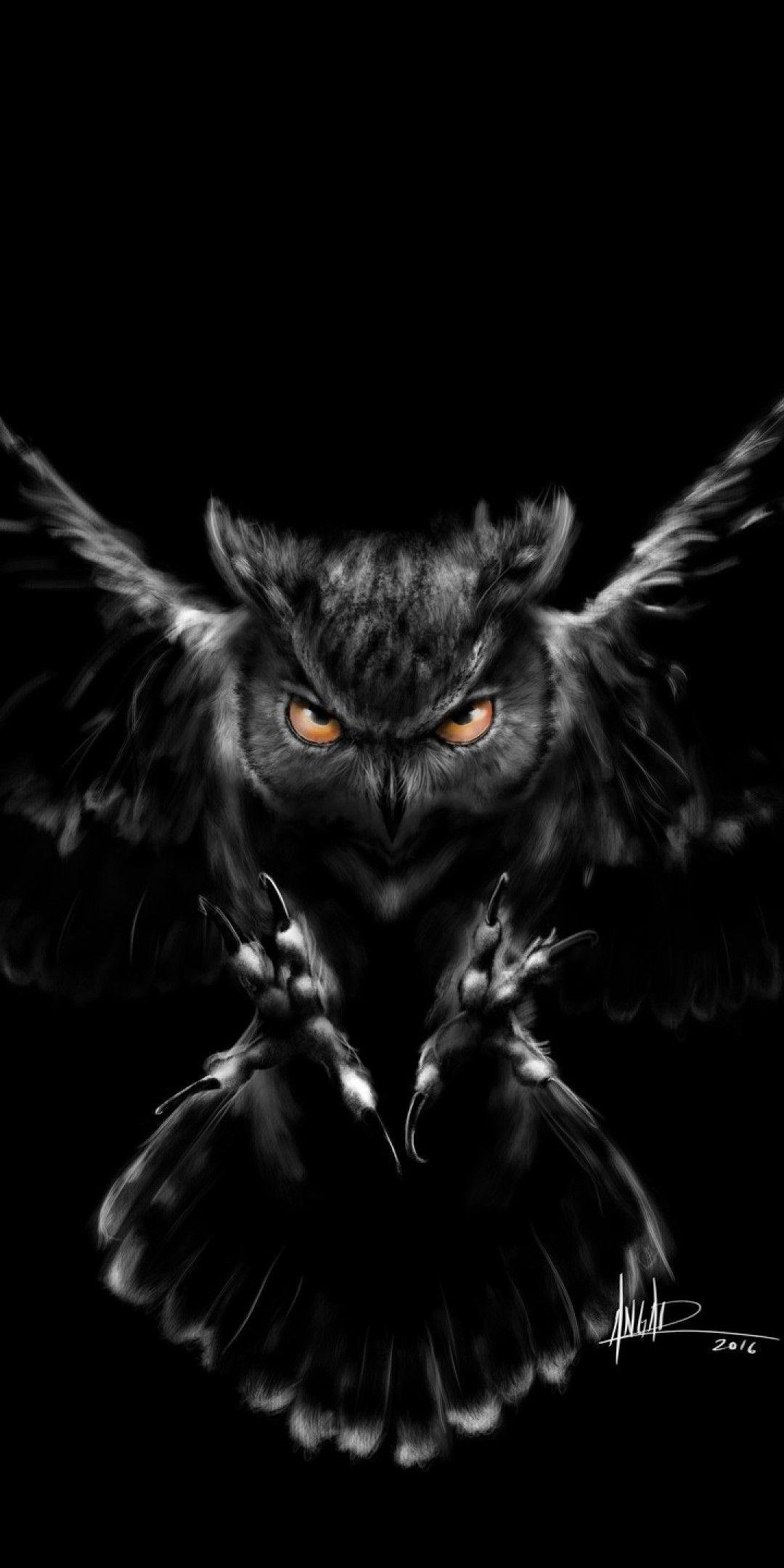 Black and white owl art Wallpaper Download