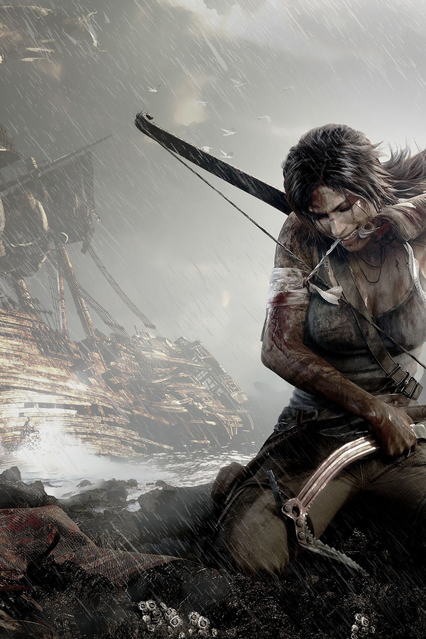 Tomb Raider Definitive Edition Game 4K Wallpaper