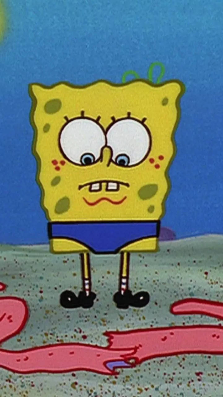 Scooby Doo's Velma To SpongeBob, LGBTQIA+ Cartoon Characters