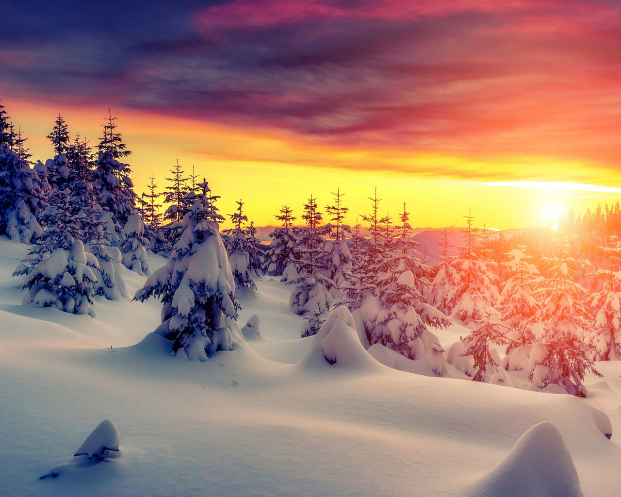 Download wallpaper winter, forest, the sky, snow, sunset, nature, forest, sky, section landscapes in resolution 1280x1024