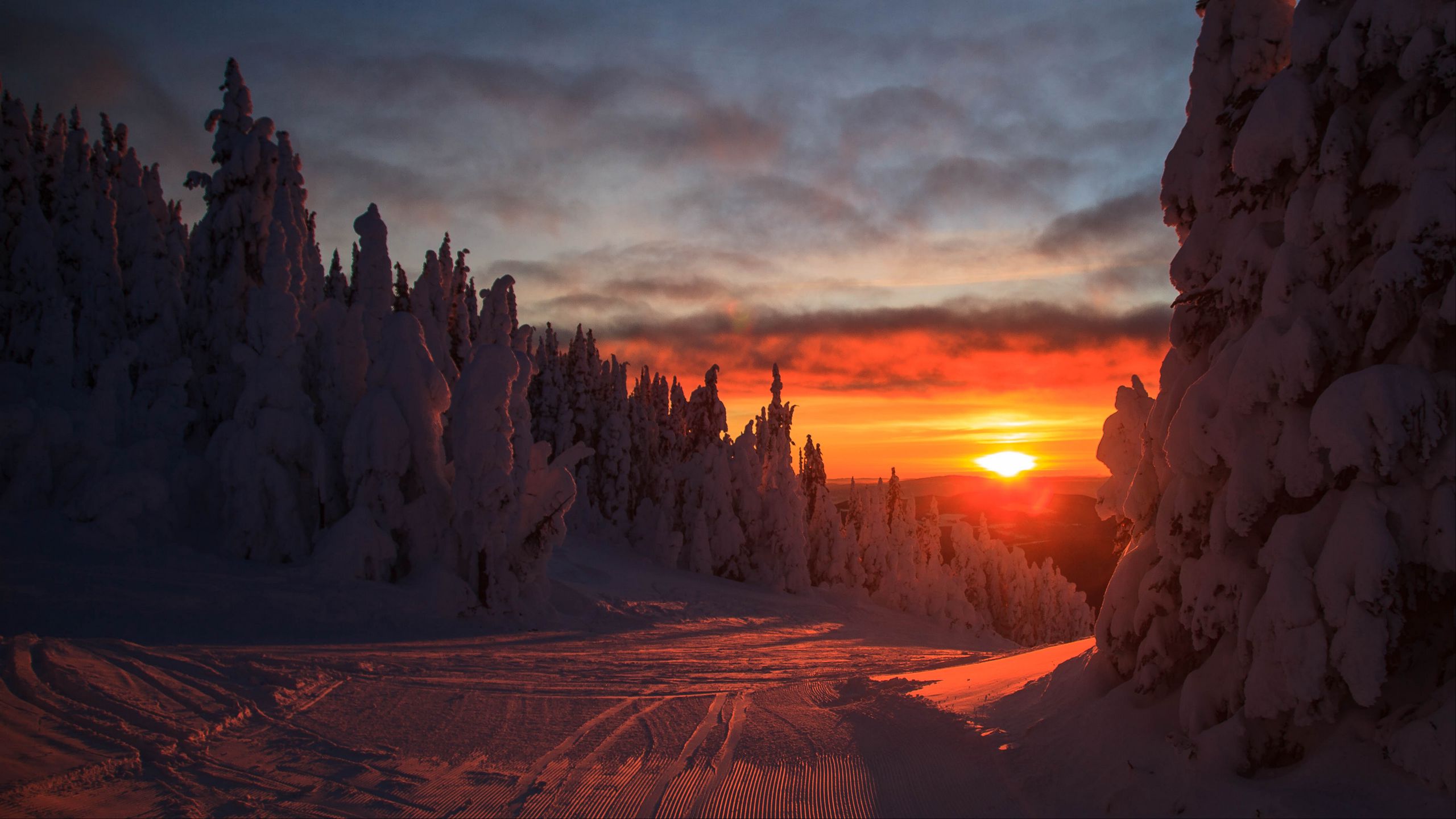 Download wallpaper 2560x1440 forest, sunset, winter, landscape, slope, snowy widescreen 16:9 HD background