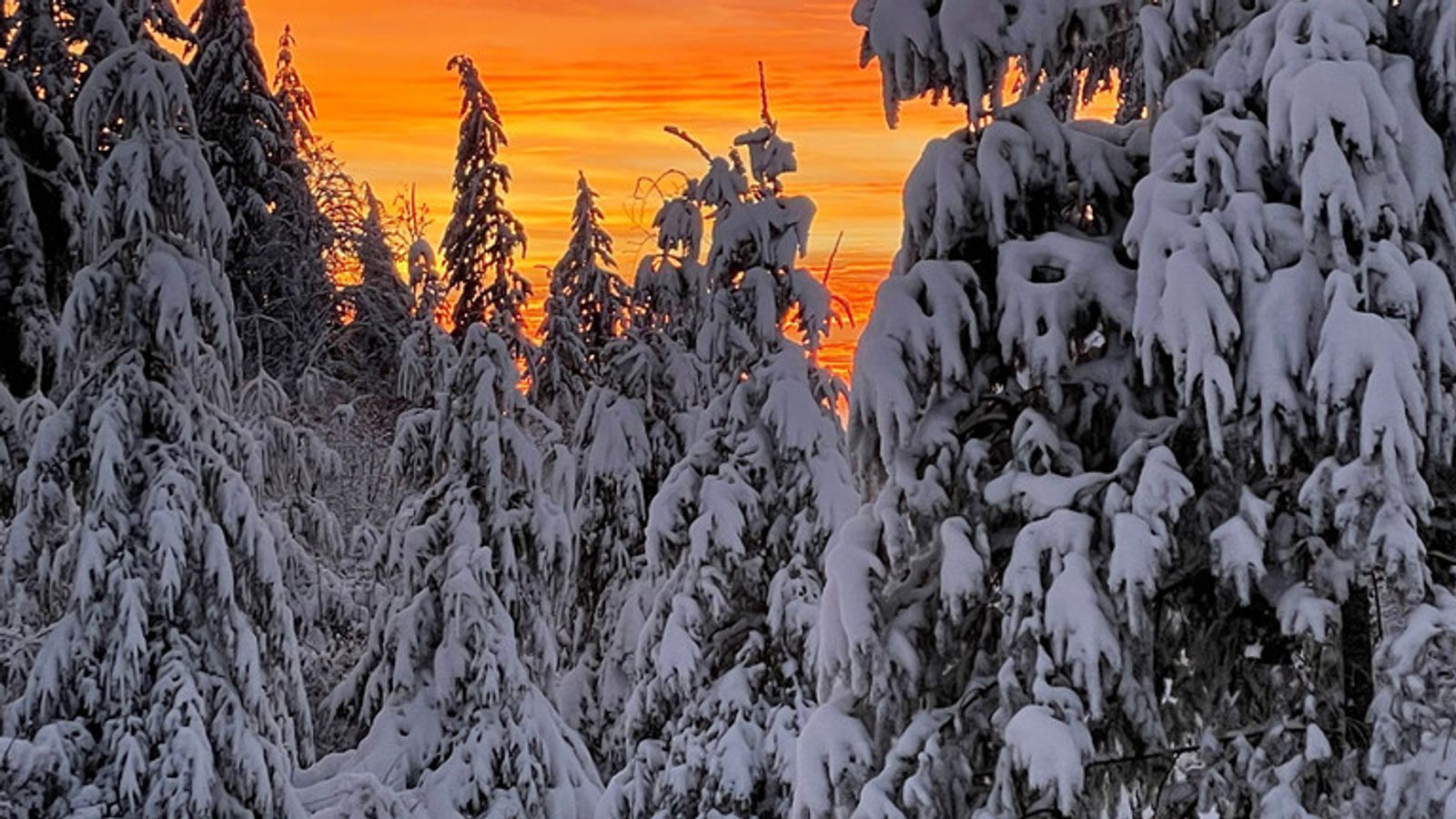 Your Photo: Stunning winter sunset in the Pacific Northwest