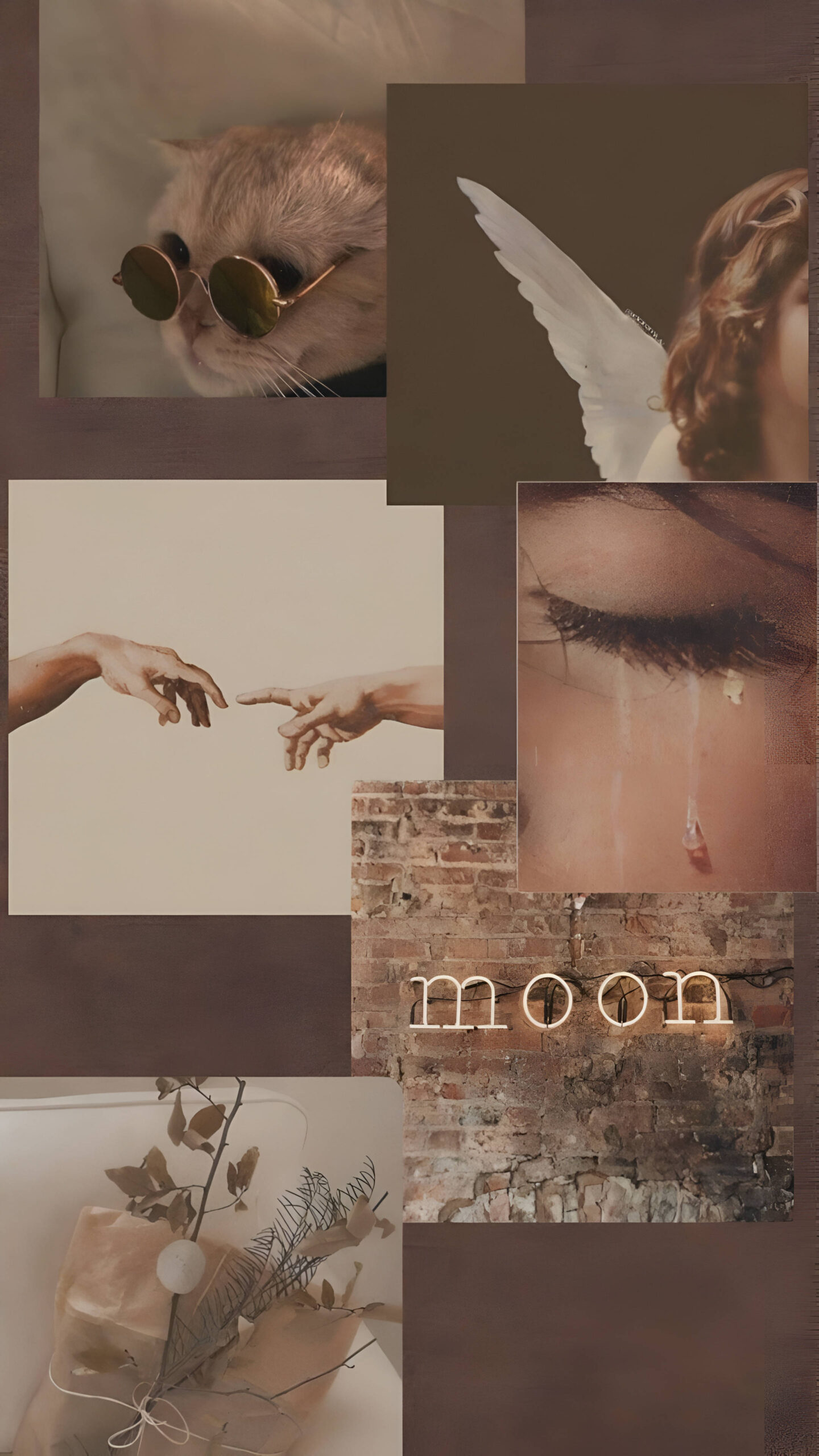 Best Brown Aesthetic iphone Wallpaper [ HQ ]