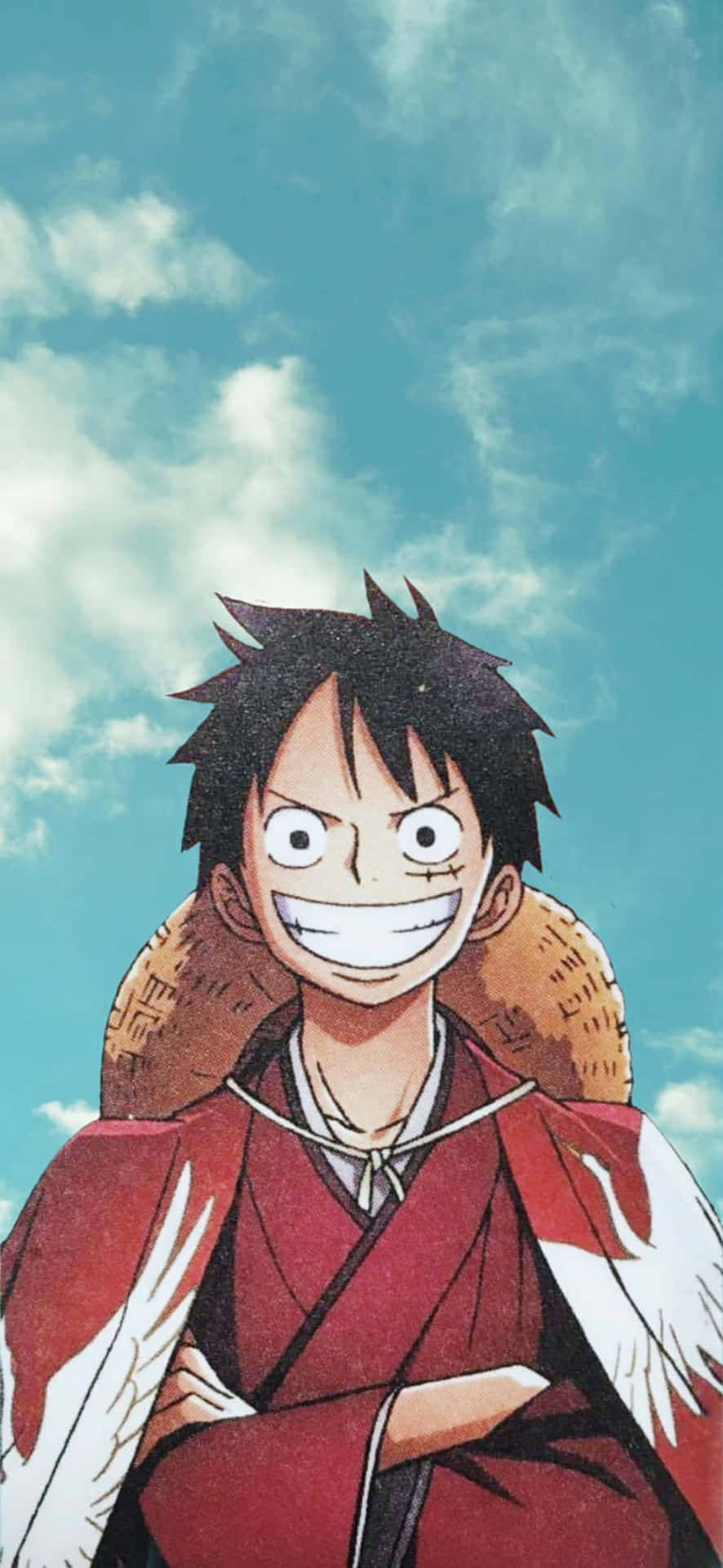 One Piece D. Luffy Anime Wallpaper