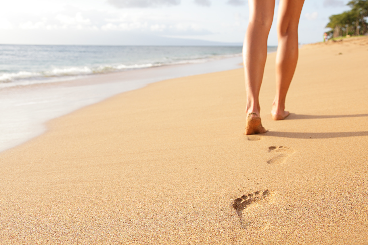 Photos Nature beaches Sea Footprints Sand Legs