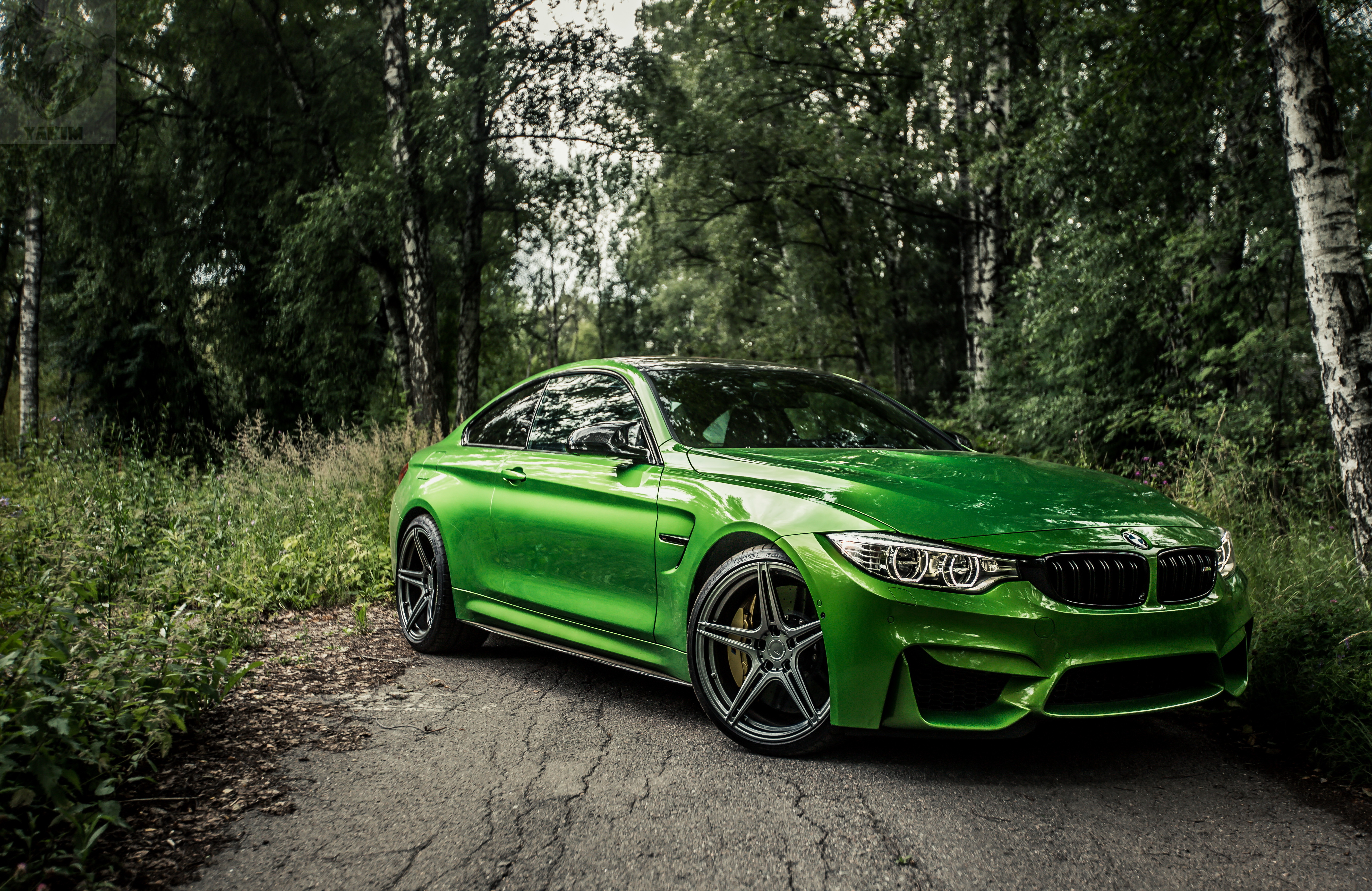 Green BMW M4 in the Woods