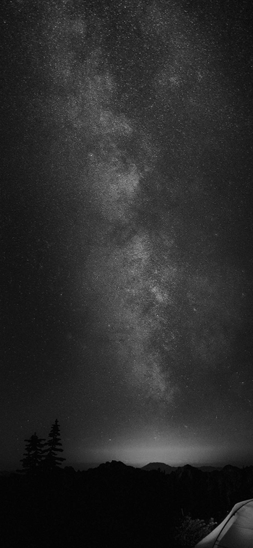 Black Apple iPhone Wallpaper