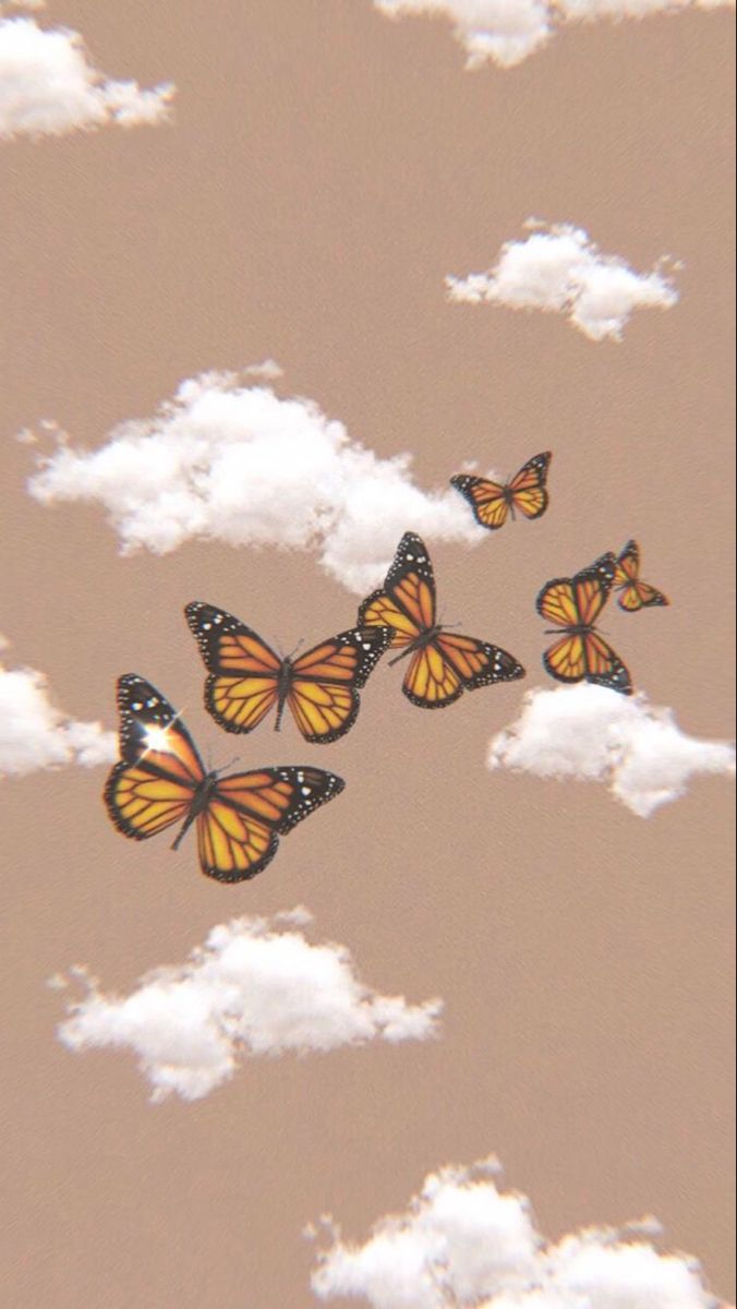 Wallpaper. Butterfly wallpaper iphone, Trippy wallpaper, Butterfly wallpaper