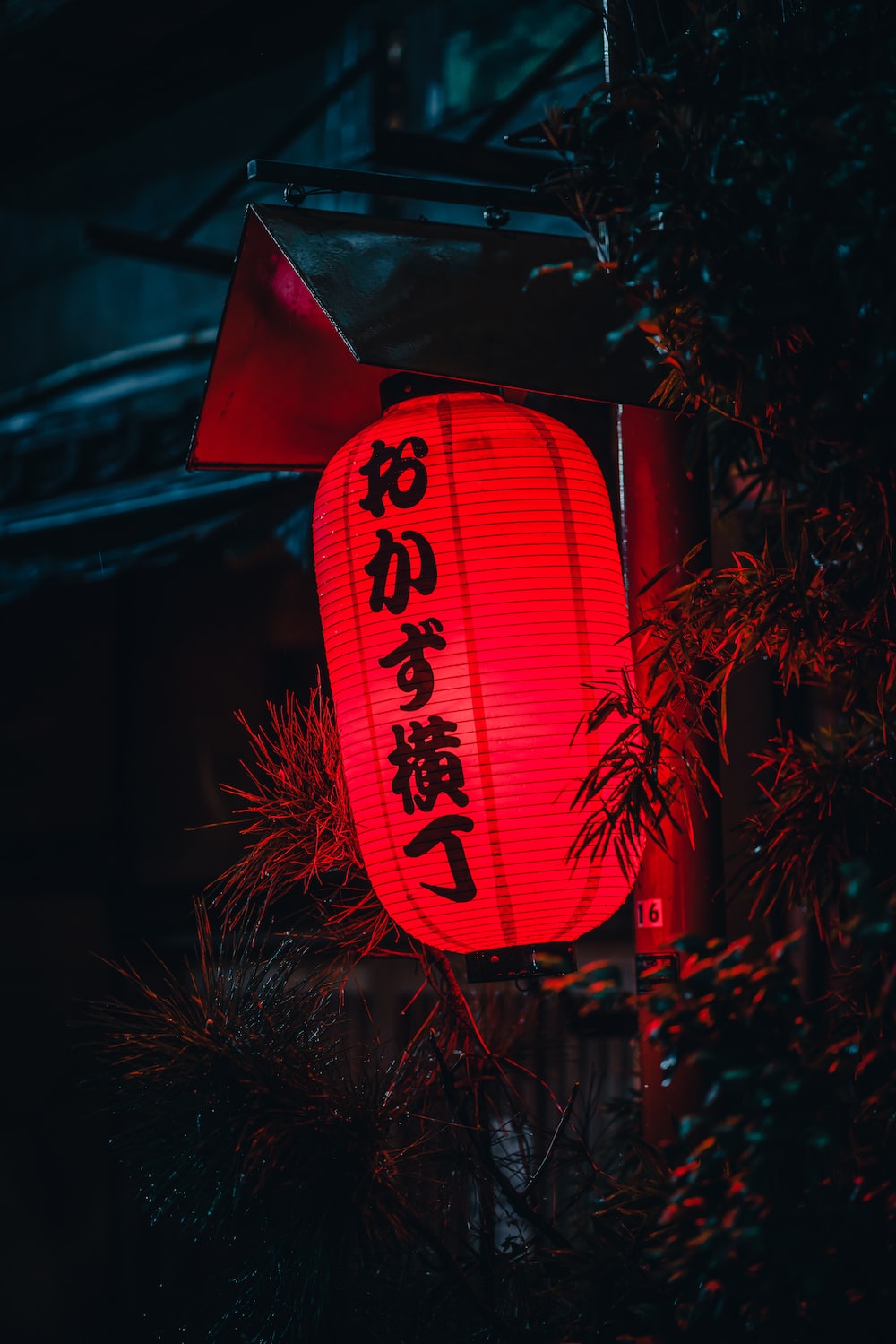 Red and white love print lantern photo