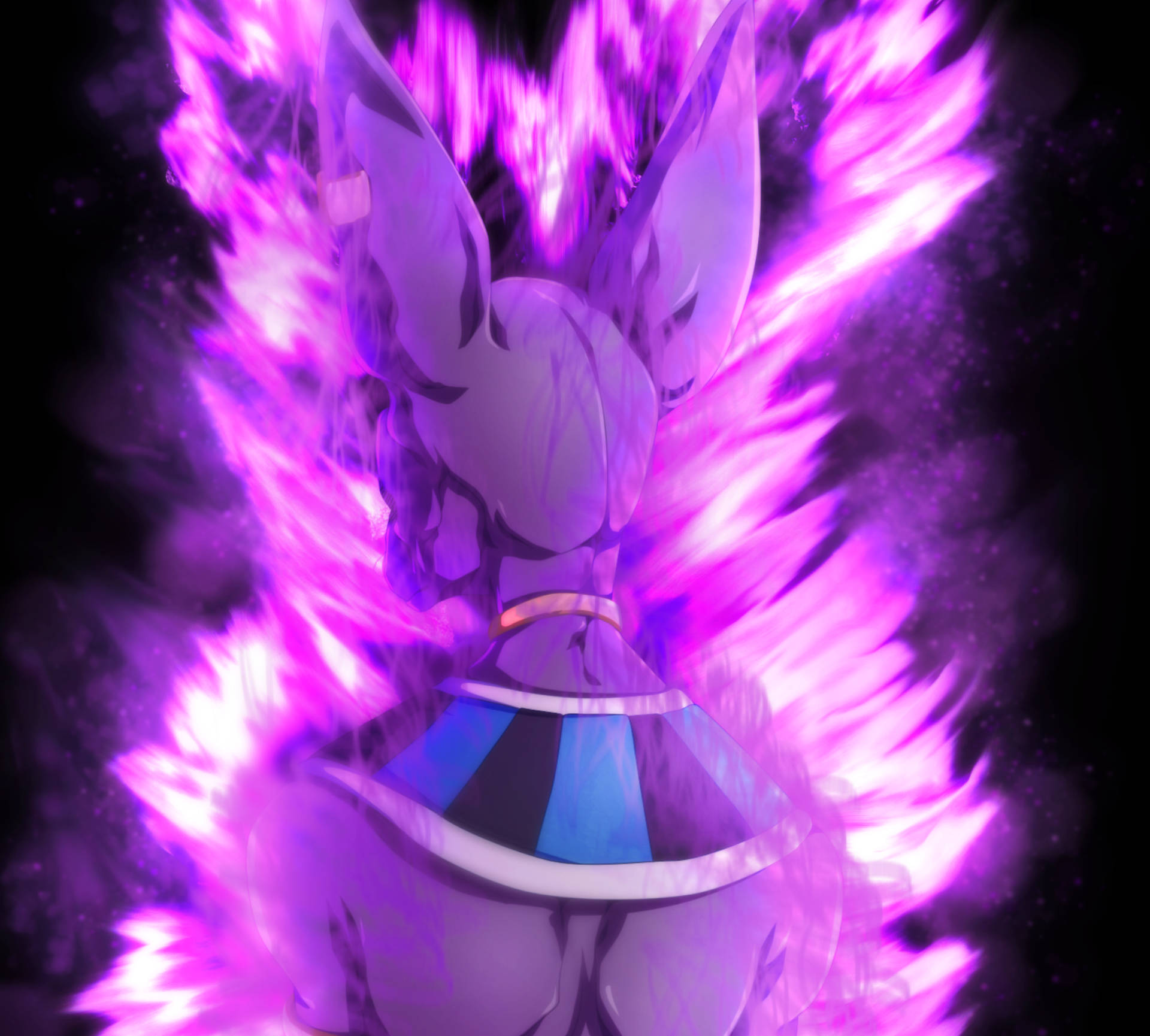Download Beerus From The Back Wallpaper