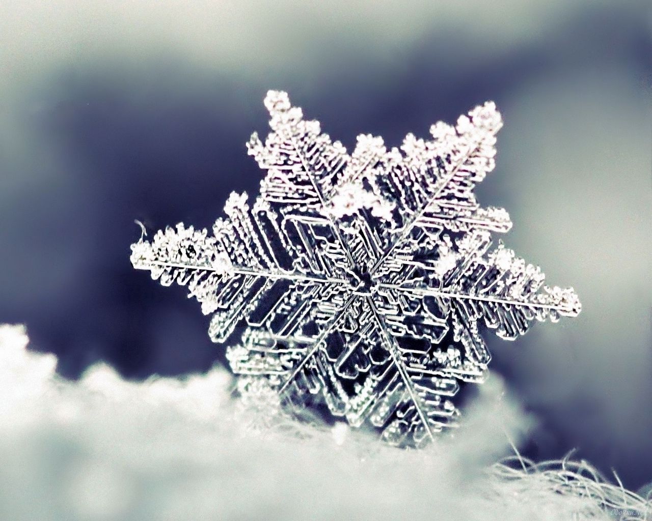 Download wallpaper 1280x1024 snow, snowflake, winter standard 5:4 HD background