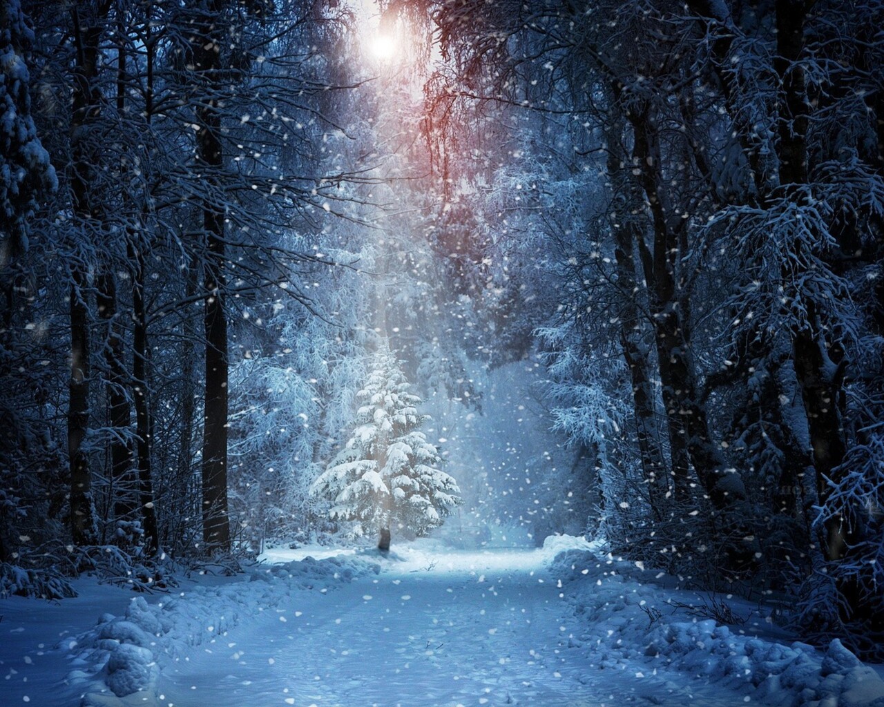 Forest Winter Snow 1280x1024 Resolution HD 4k Wallpaper, Image, Background, Photo and Picture