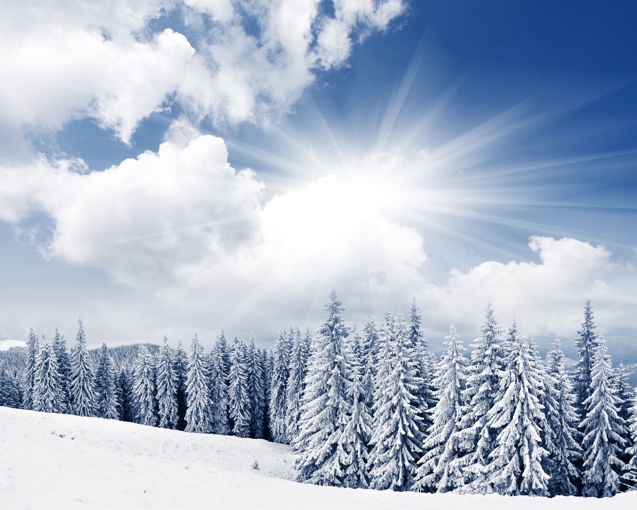 Bright Winter Day 1280 x 1024 Wallpaper