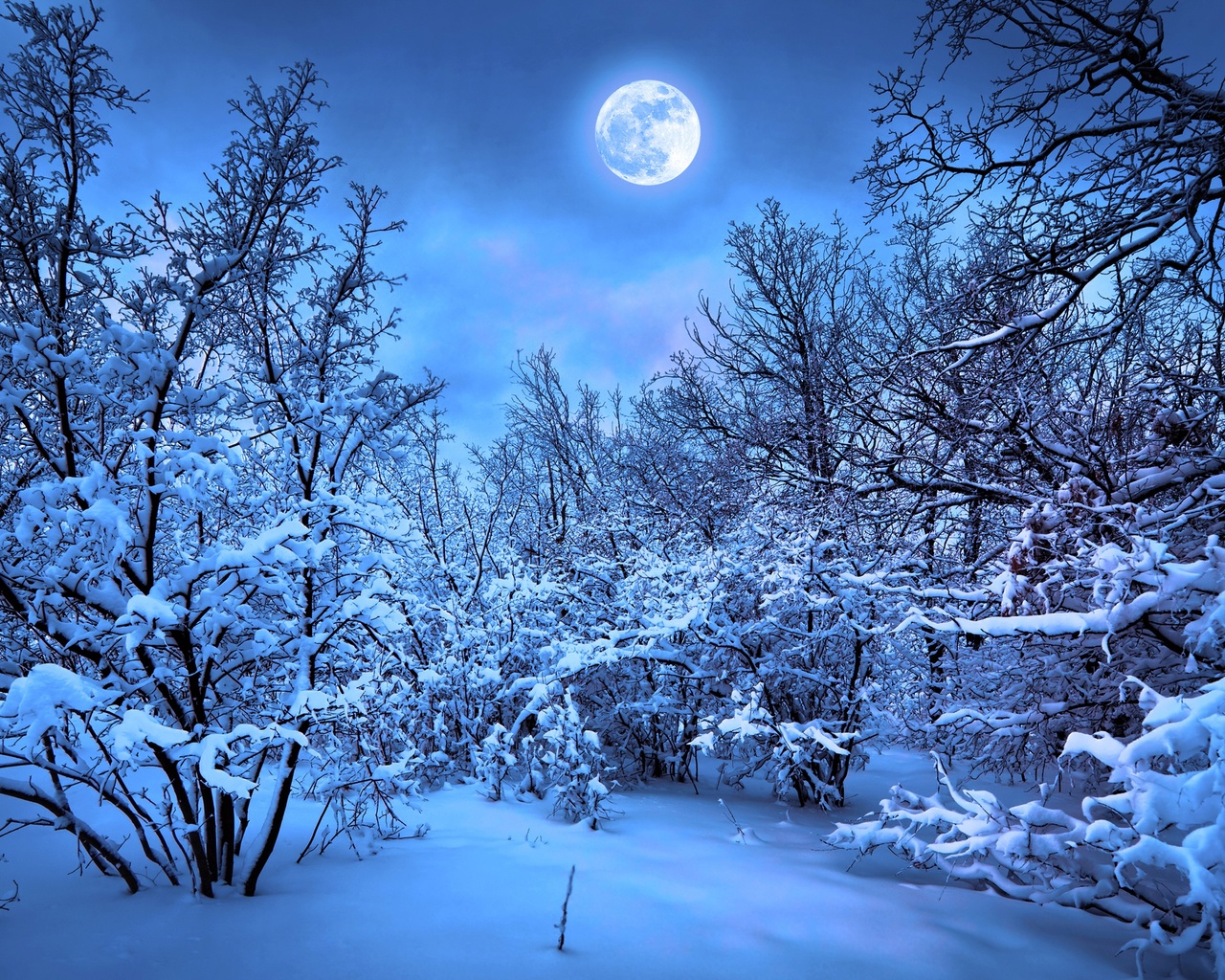 Winter Snow Nature 4k 1280x1024 Resolution HD 4k Wallpaper, Image, Background, Photo and Picture