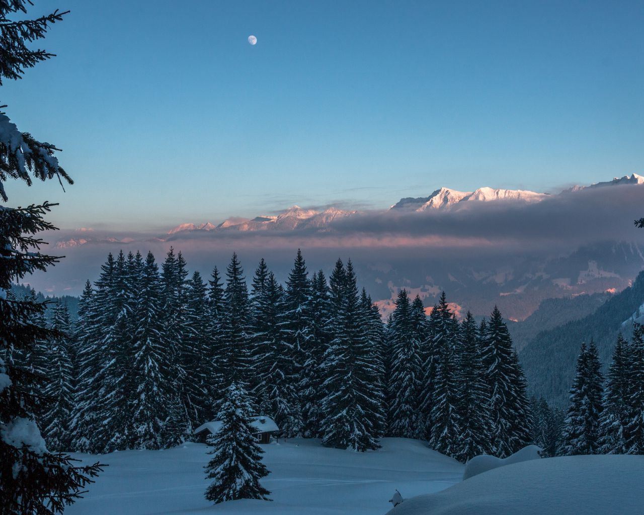 Download wallpaper 1280x1024 winter, mountains, snow, trees, twilight standard 5:4 HD background