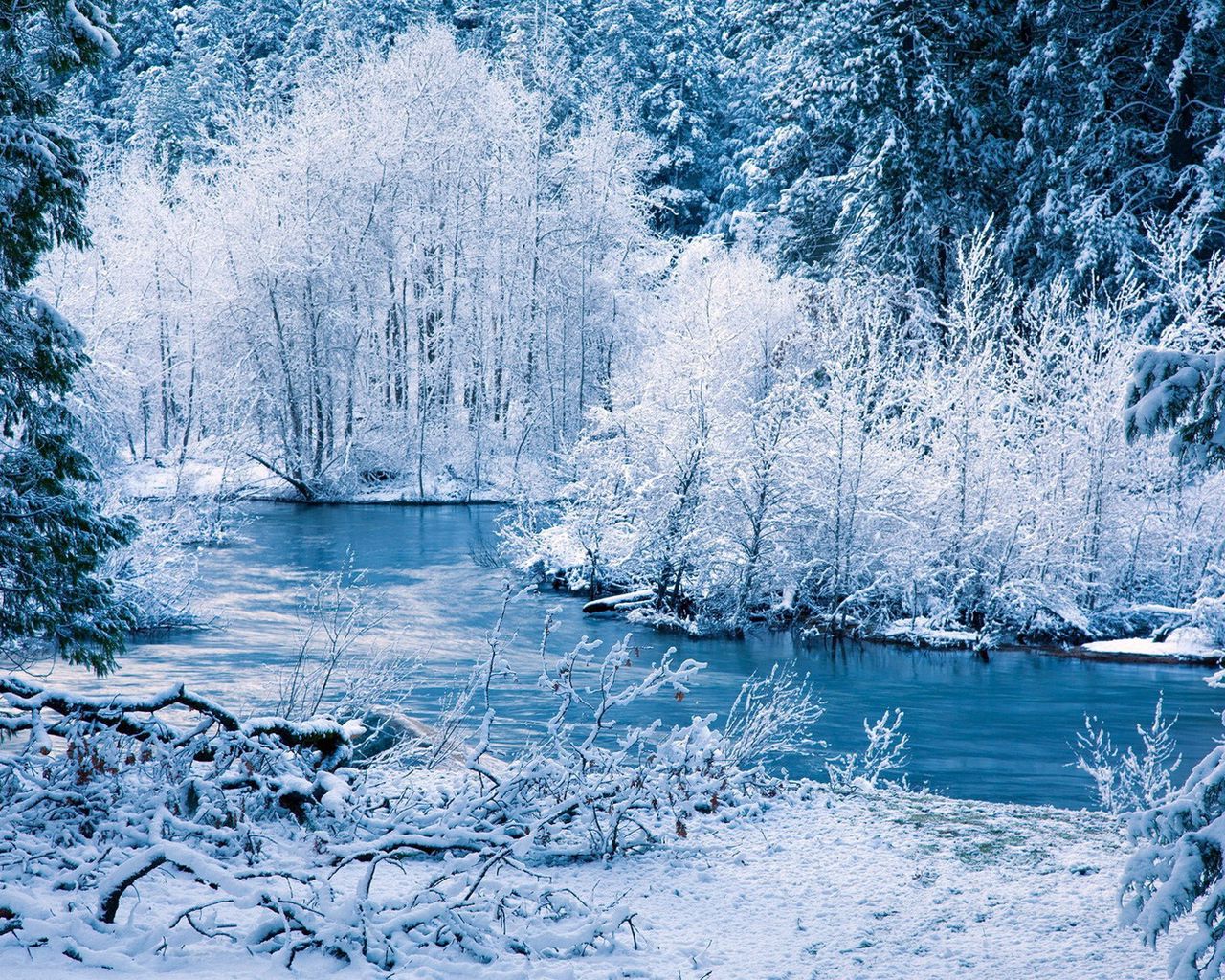 Download wallpaper 1280x1024 winter, river, snow, trees, landscape standard 5:4 HD background