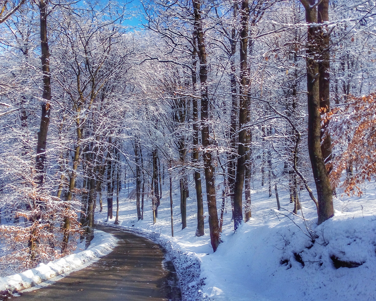 Download wallpaper nature, winter, wallpaer, section nature in resolution 1280x1024