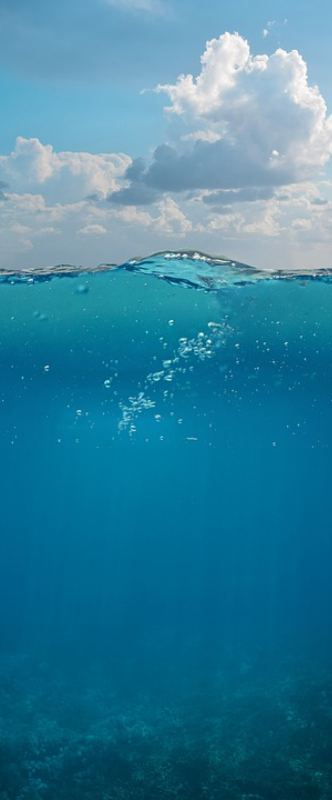 Best Underwater iPhone Wallpaper [ 4k & HD Quality ]