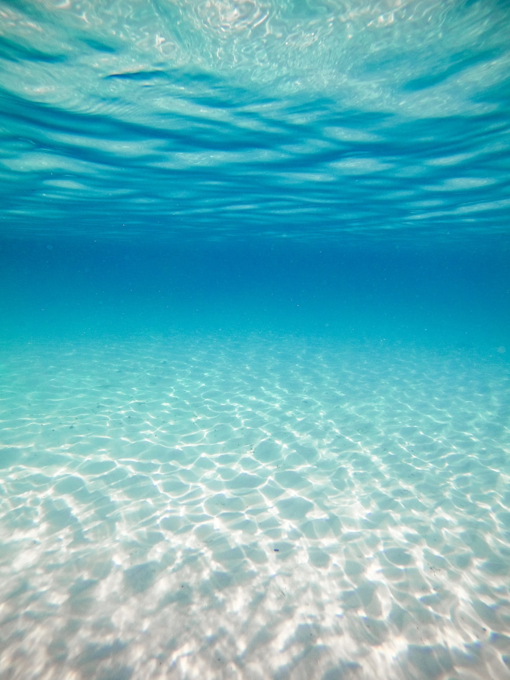 Underwater Image. Download Free Image